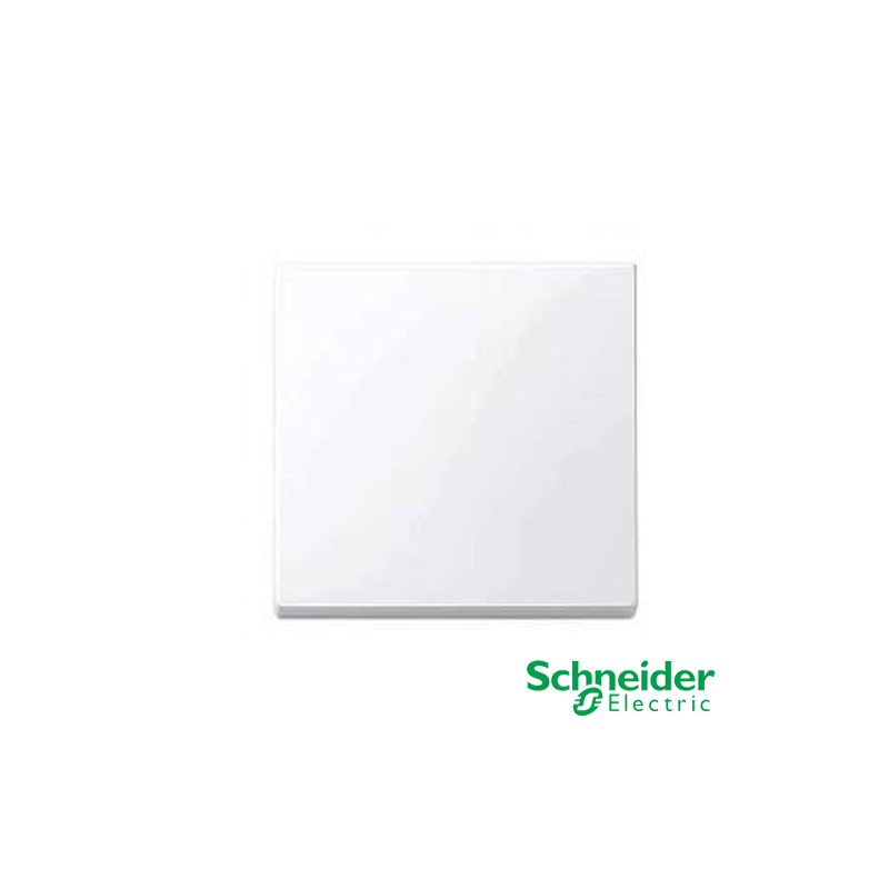 Tecla Interruptor Simple Schneider Modelo Elegance Color Blanco Activo