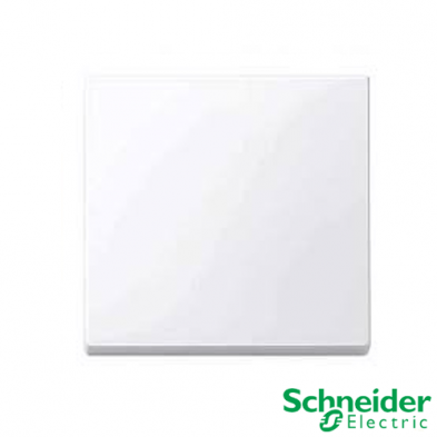 Tecla Interruptor Simple Schneider Modelo Elegance Color Blanco Activo
