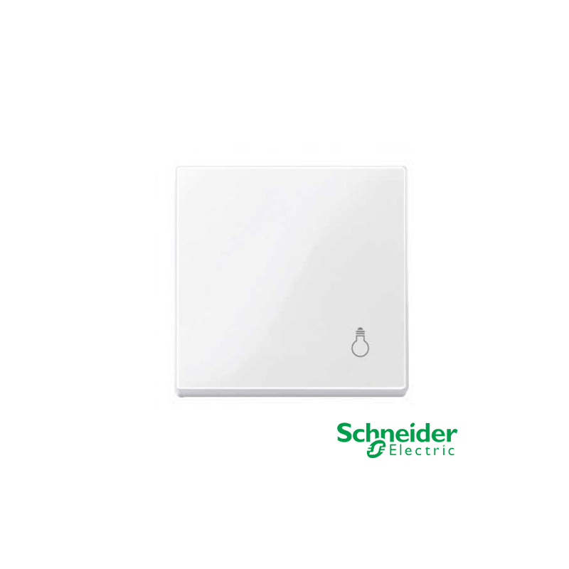 Tecla símbolo luz Schneider Serie Elegance Blanco activo