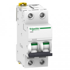 Interruptor Automático Magnetotérmico iK60N 50A 2P Schneider Electric A9F79250