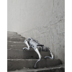 Robot Inteligente - Unitree GO2 Pro Robot Inteligente - Unitree GO2 Pro