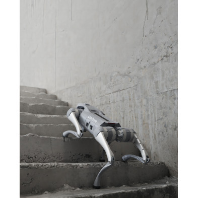 Robot Inteligente - Unitree GO2 Pro Robot Inteligente - Unitree GO2 Pro