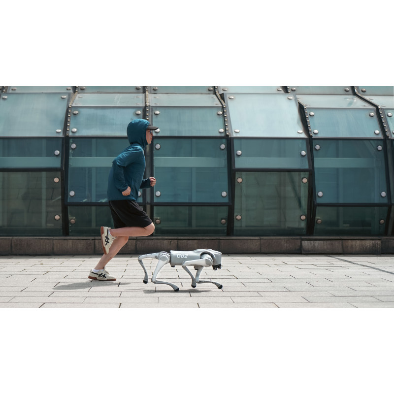 Télécommande Pour Robot Unitree GO2 Air Et GO2 Pro - Neuf