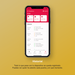 Control de accesos inteligente doméstico Raixer Mini