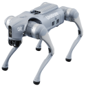Robots Cuadrúpedos